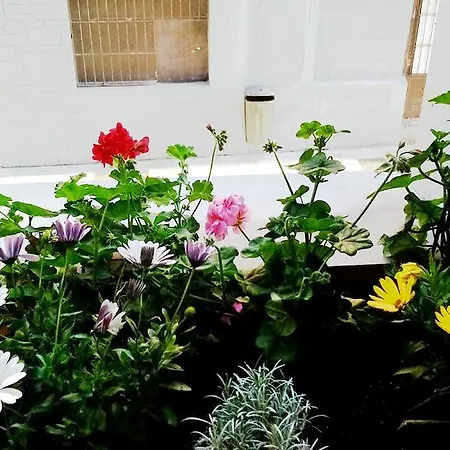 Apartament Apto Cimavilla Santa Candida Junto Plaza Mayor Vut-114-as *